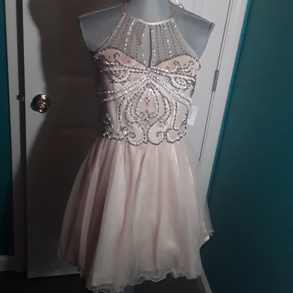 David's bridal tan sequins